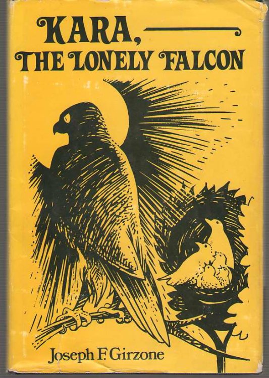 Kara, The Lonely Falcon