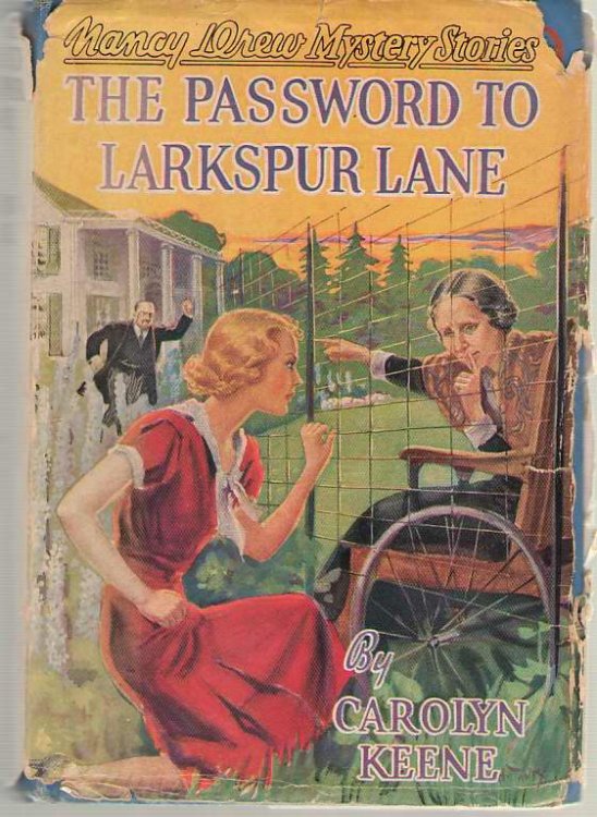 The Password To Larkspur Lane