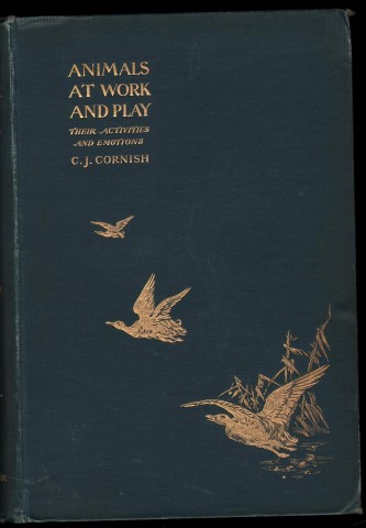 Animals At Work And Play. Their Activities and Emotions. (with Illustrations).