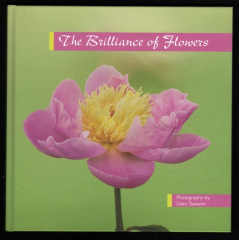 The Brilliance of Flowers.