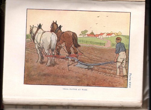 The Farm Shown to the Children. (Described by Foster Meadow).