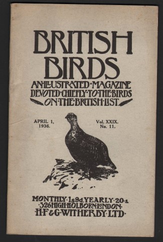 British Birds. An Illustrated Magazine Devoted Chiefly to the Birds on the British List. April 1, 1936. Vol.XXIX. No.11.