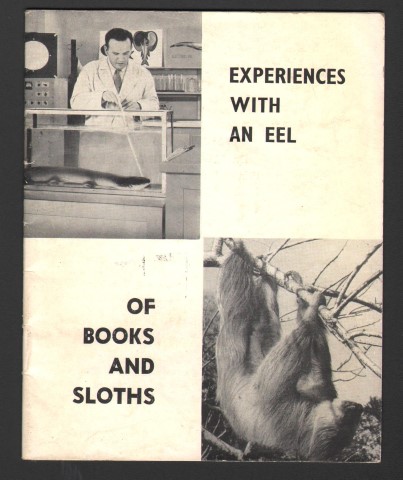 Experiences With An Eel / Of Books And Sloths.