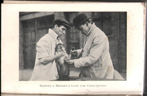 Image for Everybody's Animal Doctor. Everybody's Animal Doctor.