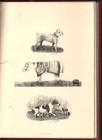 The Soul's Triumph amid the Body's Wreck: A Memoir of John Carter.