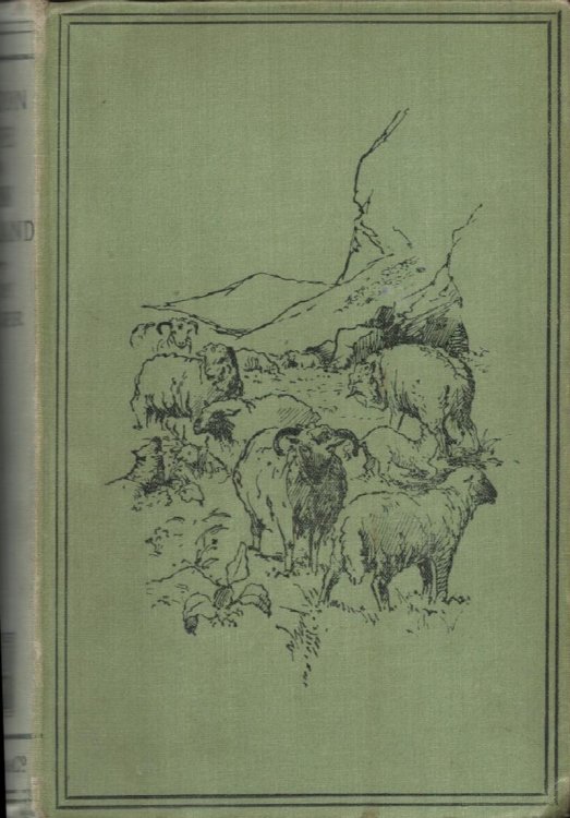 Station Life in New Zealand.