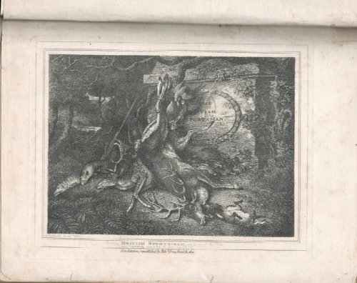 The British Sportsman