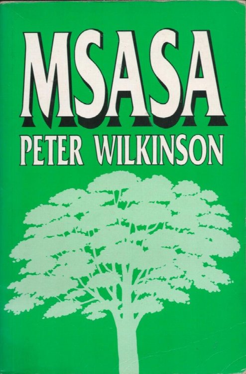 Image for Msasa. Msasa.