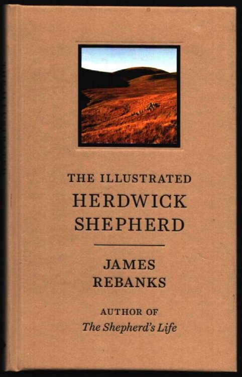 The Illustrated Herdwick Shepherd.