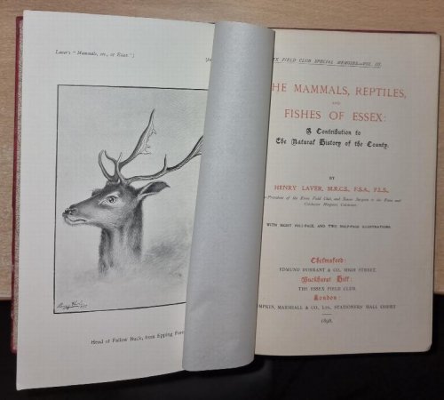 The Mammals, Reptiles, and Fishes of Essex: A contribution to the Natural History of the County. By Henry Laver. With Eight Full-Page, And Two Half-Page Illustrations.