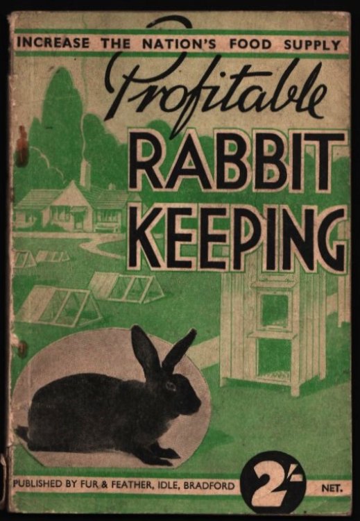 Profitable Rabbit Keeping.
