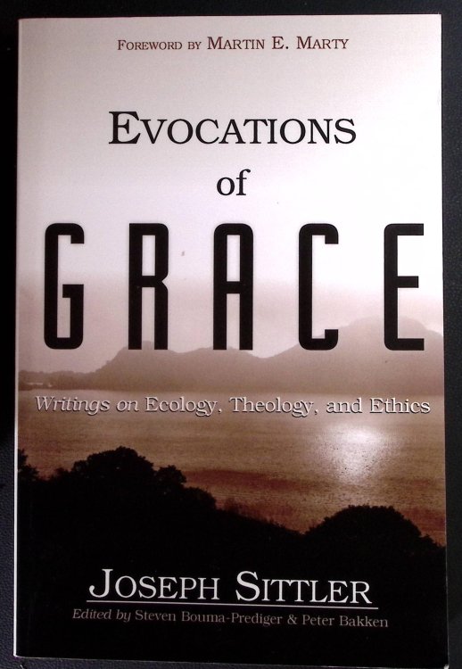 Evocations of Grace. Writings on Ecology, Theology, and Ethics.