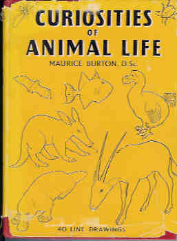 Curiosities of Animal Life