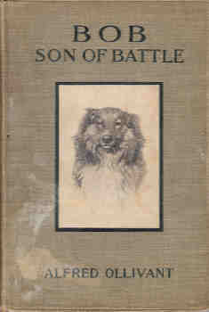 Bob, Son of Battle
