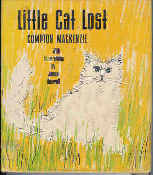 Little Cat Lost