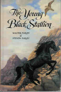 The Young Black Stallion