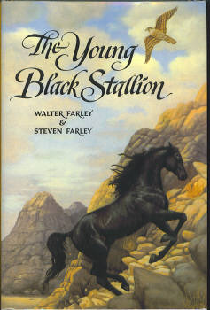 The Young Black Stallion