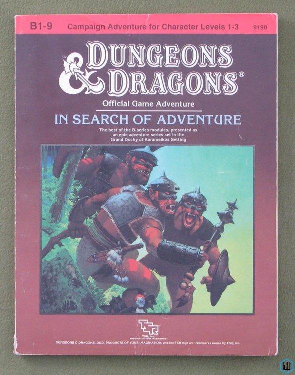 In Search of Adventure (Dungeons & Dragons Supermodule B1-9) Original 1987 edition