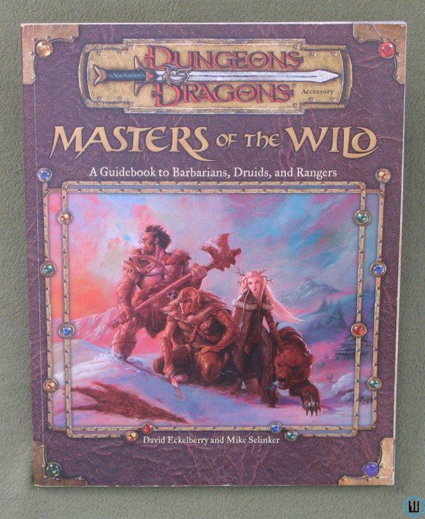 Masters of the Wild: Barbarians Druids Rangers (Dungeon Dragons 3rd Edition D20)