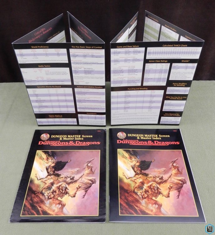 Dungeon Master Screen & Master Index (Advanced Dungeons Dragons 2nd Edition) DM