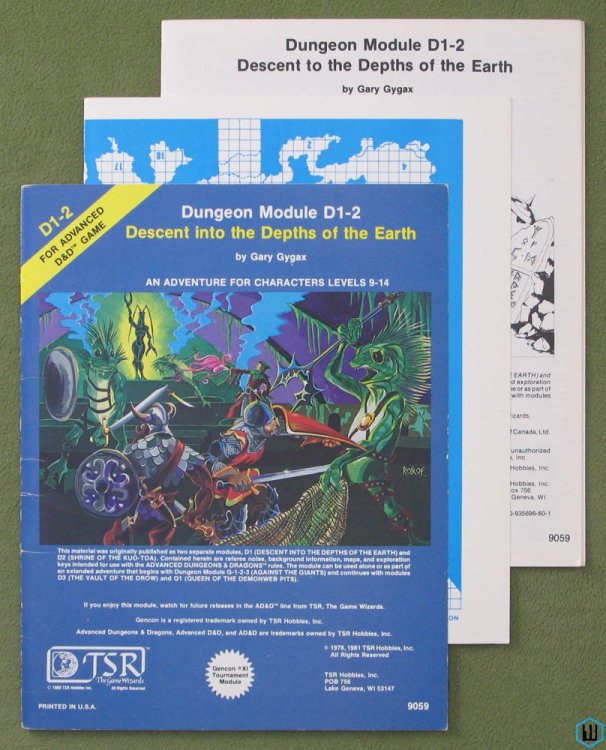 Descent into the Depths of the Earth (Advanced Dungeons Dragons D1-2) Original 1981