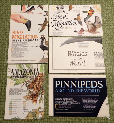 The Environment: Set of 5 - Bird Migration in The Americas, Bird Migration Eastern Hemisphere, Amazonia A World Resource at Risk, Whales of the World, Pinnipeds Around the World (National Geographic Maps)