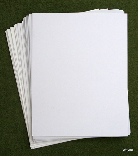 20 White Magazine Boards (8.5
