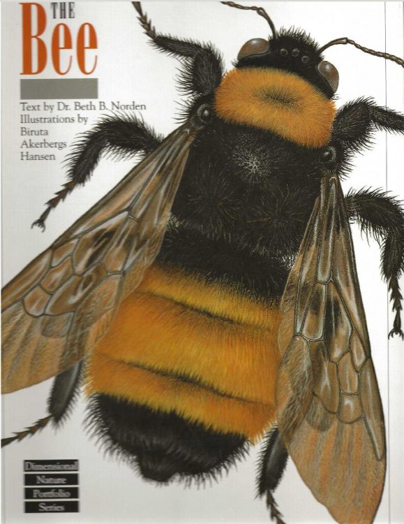 THE BEE Dimensional Nature Portfolio Series