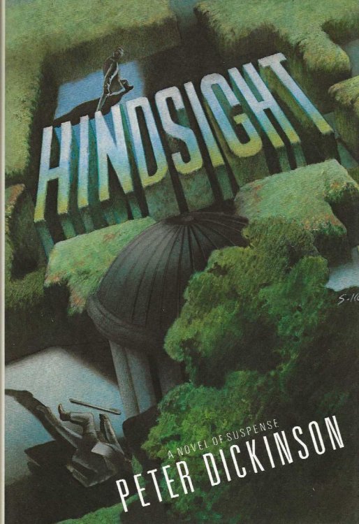 HINDSIGHT
