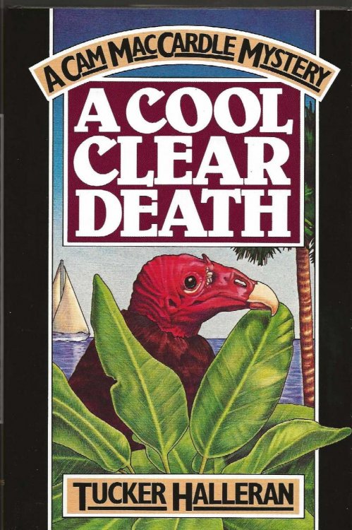 A COOL CLEAR DEATH