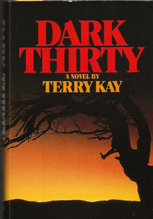 DARK THIRTY