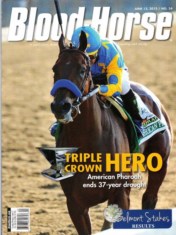 BLOOD-HORSE, JUNE 13, 2015 / NO. 24 TRIPLE CROWN HERO