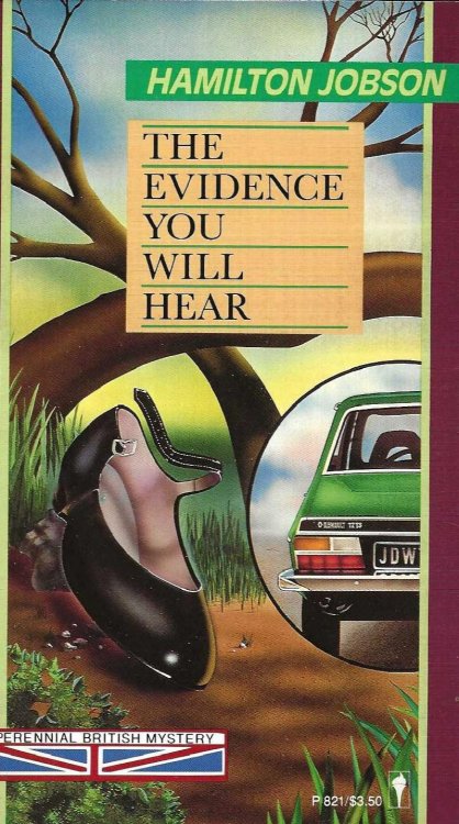 THE EVIDENCE YOU WILL HEAR