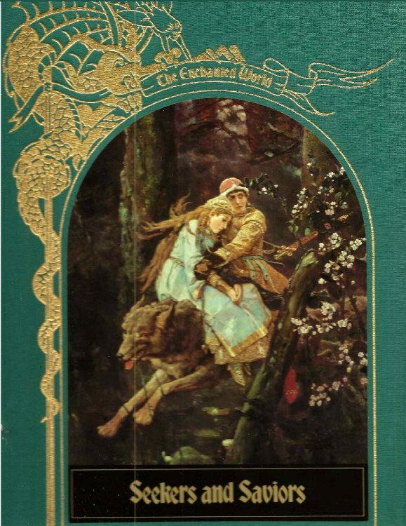 SEEKERS AND SAVIORS The Enchanted World Series