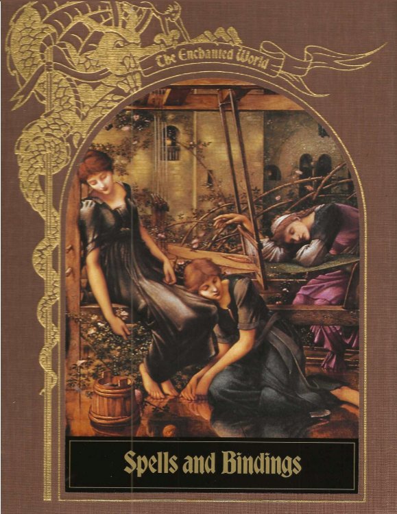 SPELLS AND BINDINGS The Enchanted World Series