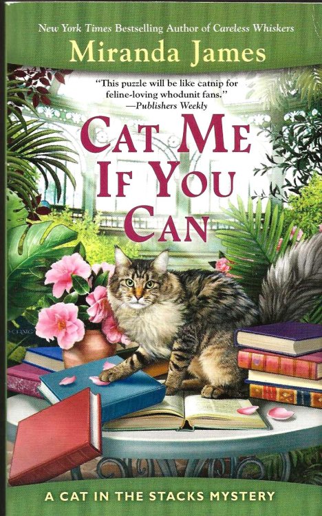 CAT ME IF YOU CAN
