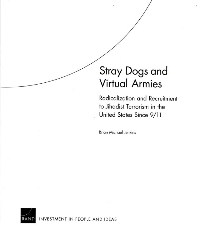 STRAY DOGS AND VIRTUAL ARMIES Radicalization And Recruitment To Jihadist Terrorism In The United States Since 9/11