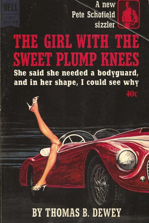 THE GIRL WITH THE SWEET PLUMP KNEES