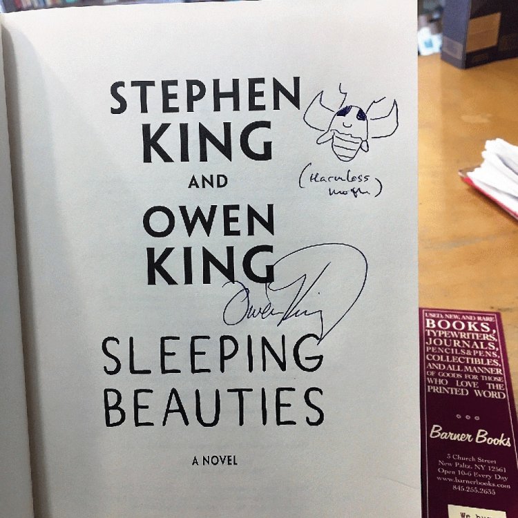 Sleeping Beauties: A Novel
