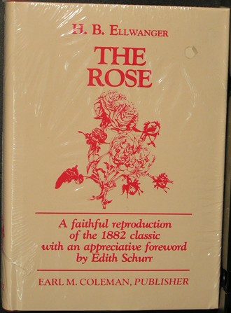 The rose (Old rose series)