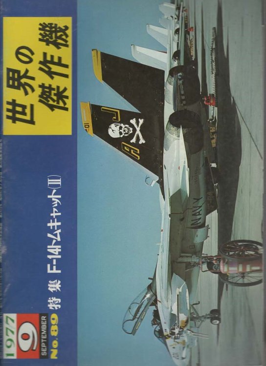 Famous Airplanes Of The World No.89 Grumman F-14 Tomcat Part II