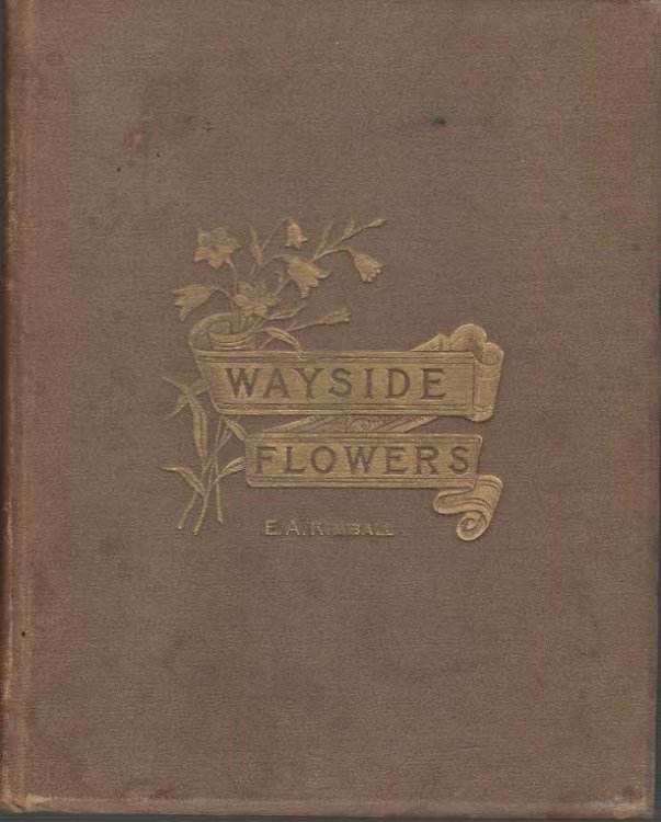 Wayside Flowers