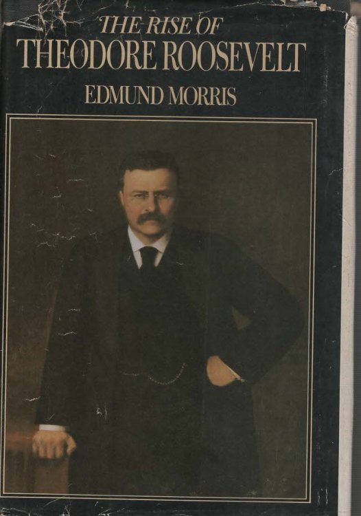 The Rise of Theodore Roosevelt