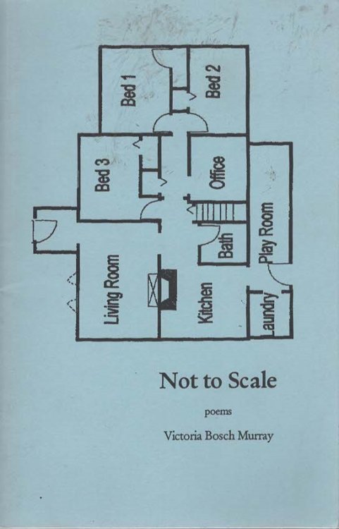 Not to Scale
