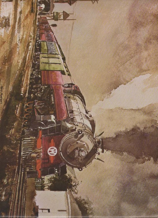 North American Steam Locomotives: The Northerns