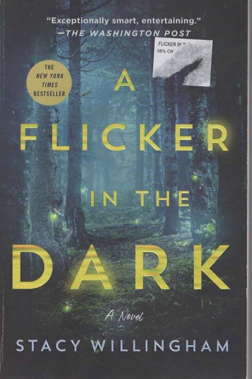 FLICKER IN THE DARK