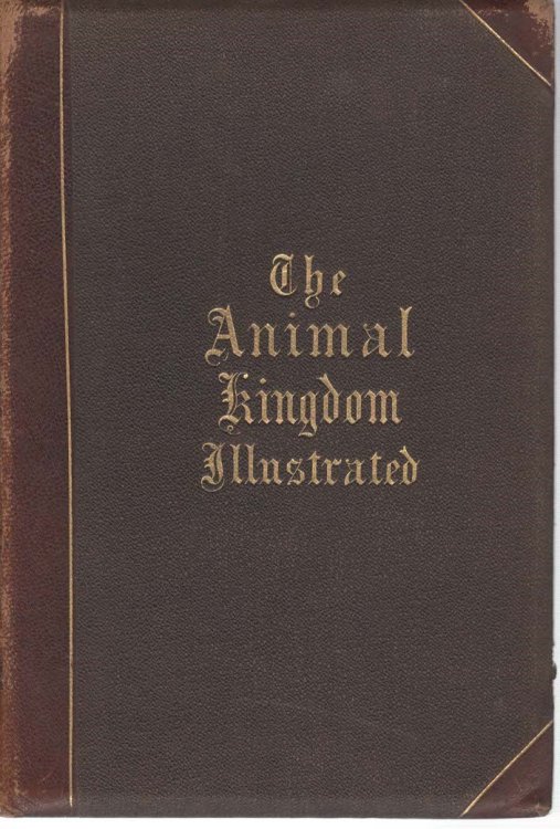 Johnson's Natural History, Comprehesive, Scientific, and Popular, Illustrating and Describing the Animal Kingdom, ect. Volume I&II