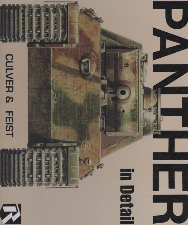Panther In Detail