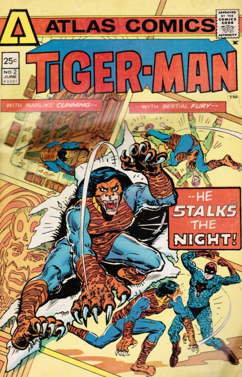 Tiger-Man Vol 1, #2
