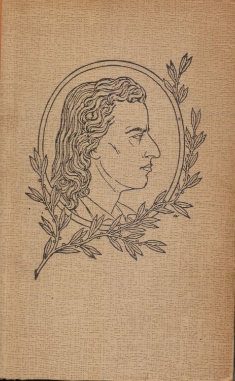 Schiller Der Kampfer Der Dichter